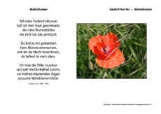 Mohnblumen-Löns.pdf